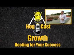 Hog Cast - Growth