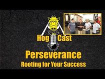 Hog Cast - Perseverance