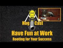 Hog Cast - Have Fun At Work