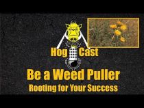 Hog Cast - Be a Weed Puller